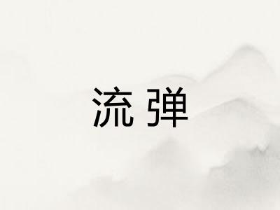 流弹 流弹