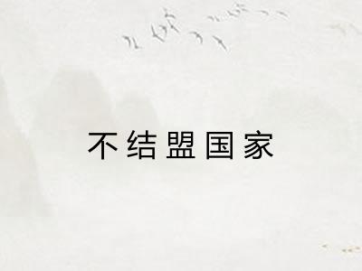 不结盟国家