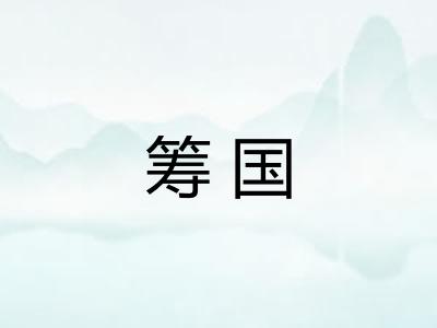 筹国