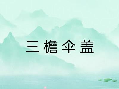 三檐伞盖 三檐伞盖