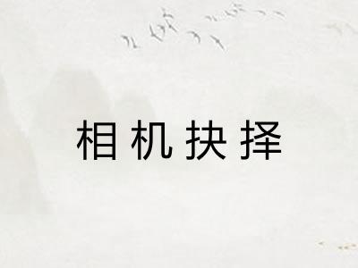 相机抉择 相机抉择