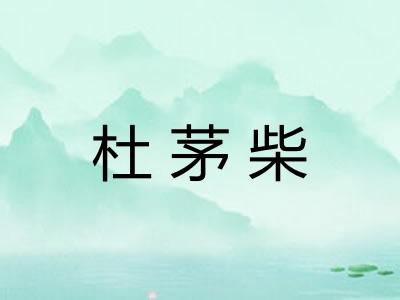 杜茅柴 杜茅柴