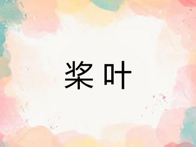 桨叶