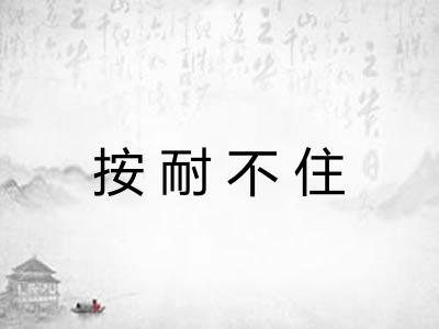 按耐不住 按耐不住