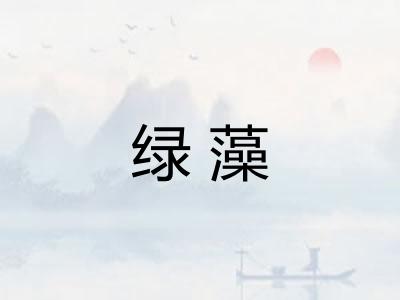 绿藻