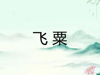 飞粟