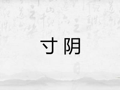 寸阴