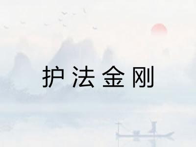 护法金刚 护法金刚