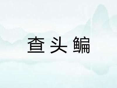 查头鳊 查头鳊
