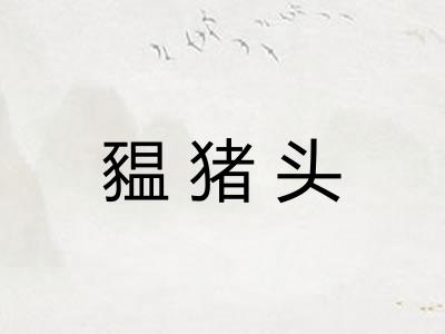 豱猪头 豱猪头