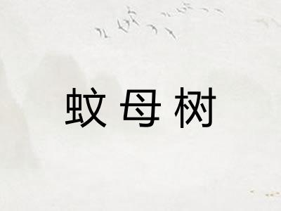 蚊母树