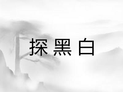 探黑白