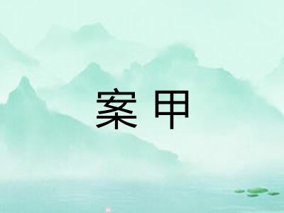 案甲