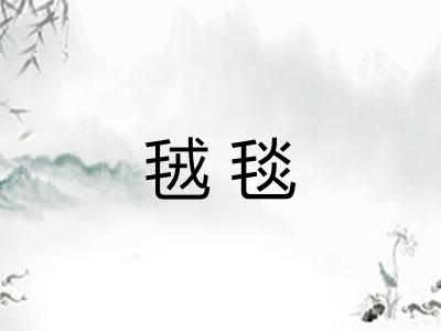 毧毯