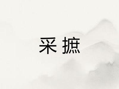 采摭
