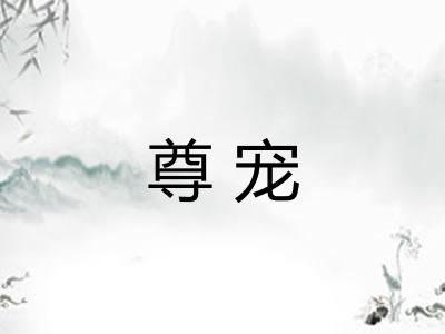 尊宠