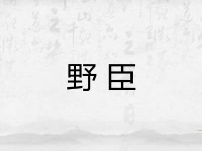 野臣
