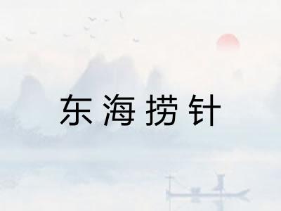 东海捞针