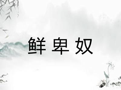 鲜卑奴