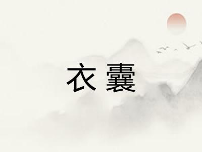衣囊
