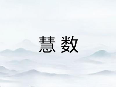 慧数