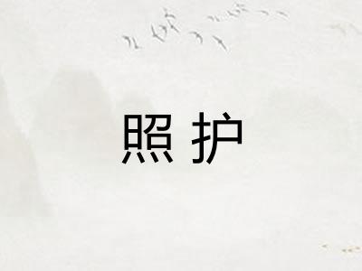 照护 照护