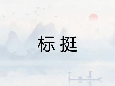 标挺 标挺