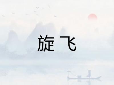 旋飞