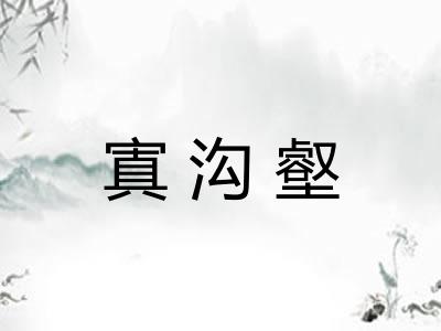 寘沟壑