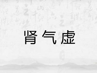肾气虚 肾气虚
