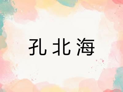 孔北海