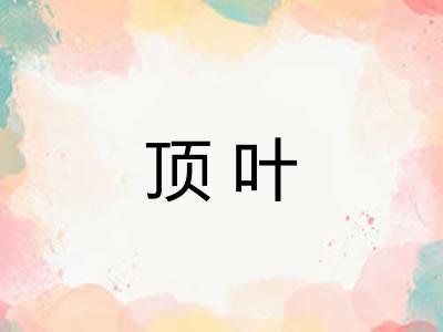 顶叶