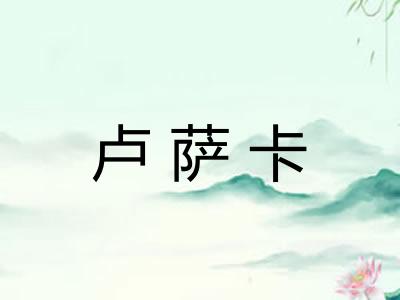 卢萨卡