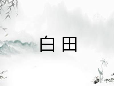 白田