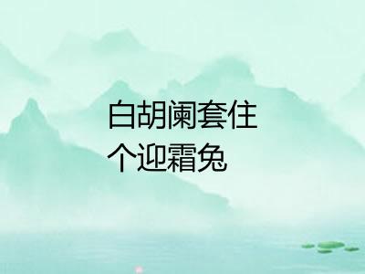 白胡阑套住个迎霜兔 白胡阑套住个迎霜兔