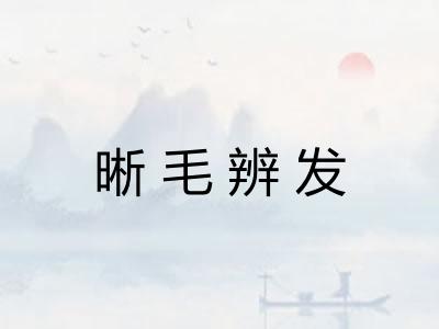 晰毛辨发 晰毛辨发
