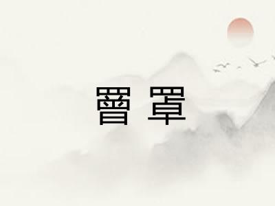 罾罩