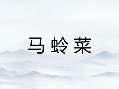 马蛉菜