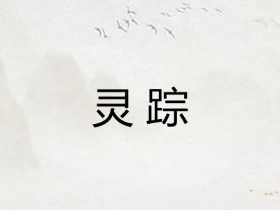 灵踪