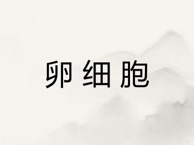 卵细胞 卵细胞