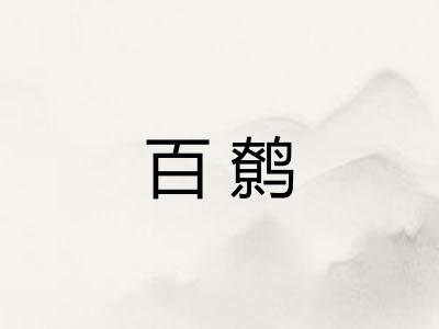 百鹩