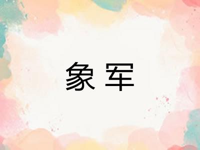 象军
