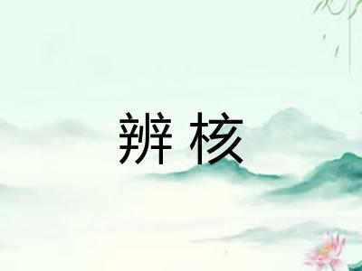 辨核