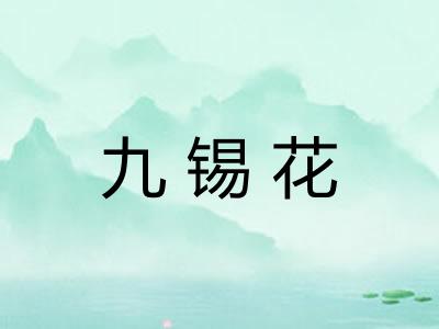 九锡花 九锡花
