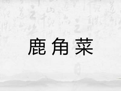 鹿角菜