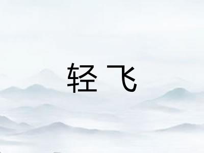 轻飞