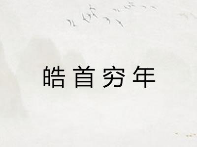 皓首穷年