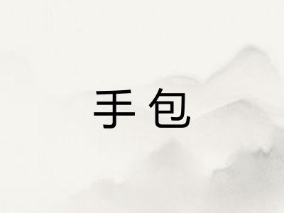 手包 手包