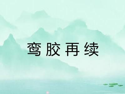 鸾胶再续