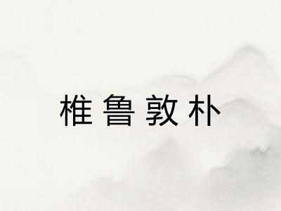 椎鲁敦朴